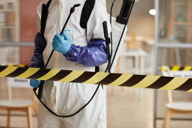 Professional Sewage Cleanup technician working in Lizton, IN